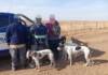 Córdoba tras los cazadores furtivos: 15 detenidos y 33 perros resguardados durante este fin de semana