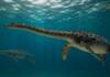 Hallaron el cráneo casi completo de un reptil marino que habitó la Patagonia hace 66 millones de años