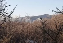 Bomberos combaten un voraz incendio forestal en Casa Grande