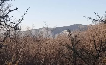 Bomberos combaten un voraz incendio forestal en Casa Grande