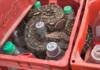 ¿Zero, Light o sabor original?: Rescataron una lampalagua que apareció en los cajones de una embotelladora cordobesa