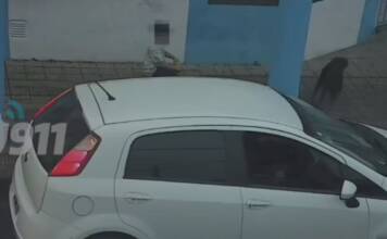 Encontraron a un niño deambulando por las calles en la madrugada