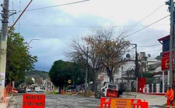 Tránsito: Continúan las obras de repavimentación de la avenida Los Sauces