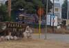 Vecinos y emprendedores se unen en una jornada solidaria para Playas de Oro