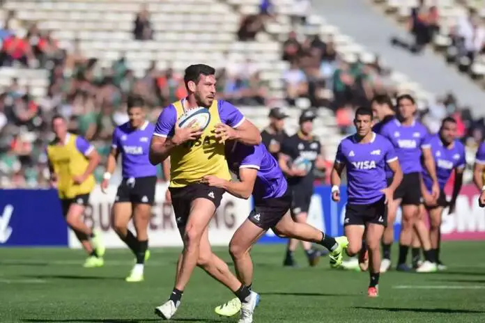 los pumas
