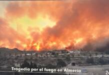 Desastre en España: Buscan a 20 desaparecidos en los incendios de Almería y ya son 12 los muertos