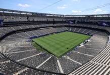 FIFA venderá el césped de la final del Mundial: cuántos pedazos habrá y a qué precio