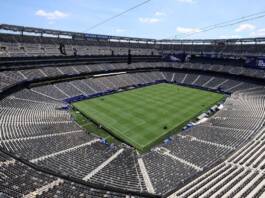 FIFA venderá el césped de la final del Mundial: cuántos pedazos habrá y a qué precio