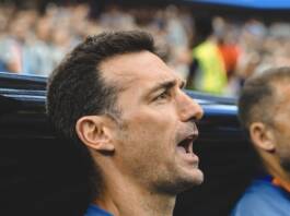 «Lo siento»: la carta de Scaloni a una semana de la final del mundial