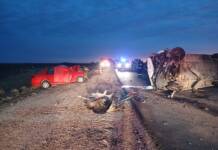 Tragedia en una ruta de Córdoba: dos muertos tras chocar contra una combi que trasladaba a un equipo de fútbol de niñas