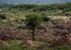 El EAAF restituyó los restos de cuatro desaparecidos hallados en La Perla y avanzan las excavaciones en la «Loma del Torito»