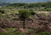 El EAAF restituyó los restos de cuatro desaparecidos hallados en La Perla y avanzan las excavaciones en la «Loma del Torito»