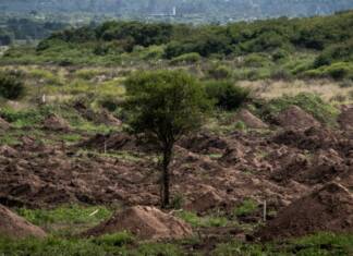 El EAAF restituyó los restos de cuatro desaparecidos hallados en La Perla y avanzan las excavaciones en la «Loma del Torito»