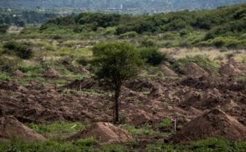 El EAAF restituyó los restos de cuatro desaparecidos hallados en La Perla y avanzan las excavaciones en la «Loma del Torito»