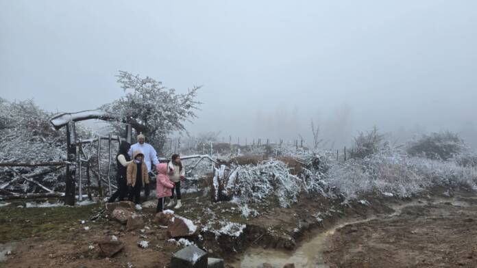 Nieve-Los-Gigantes-2-07-26 (1)