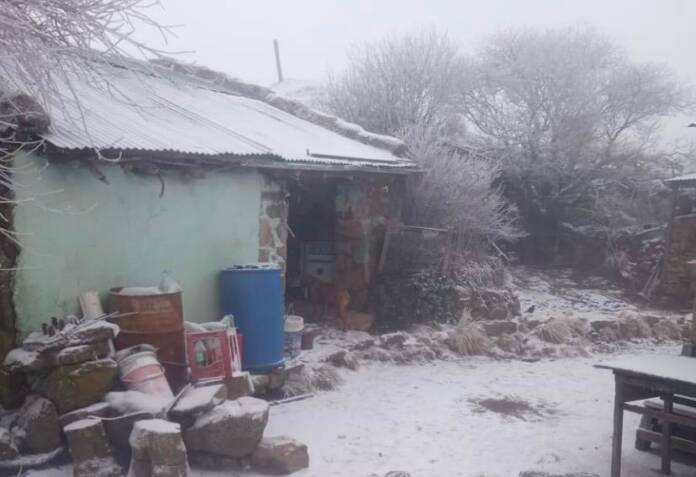 Nieve portada