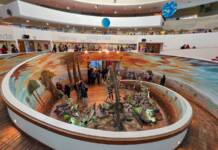Experiencia única: El Museo de Ciencias Naturales como nunca lo viste
