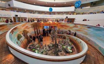 Experiencia única: El Museo de Ciencias Naturales como nunca lo viste