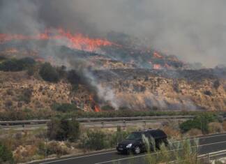 Tragedia en España: un voraz incendio en Almería deja al menos 12 muertos y decenas de desaparecidos
