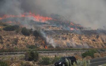 Tragedia en España: un voraz incendio en Almería deja al menos 12 muertos y decenas de desaparecidos