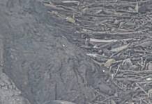 Encontraron un artefacto explosivo de guerra cerca de un campo deportivo