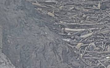 Encontraron un artefacto explosivo de guerra cerca de un campo deportivo