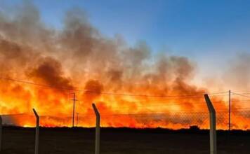 Bomberos controlaron un incendio de pastizales en el límite entre Malagueño y Córdoba