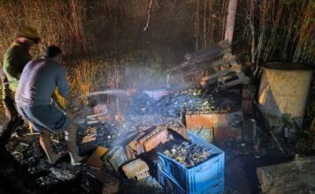 San Antonio: Arrojó cenizas en el compost y provocó un incendio