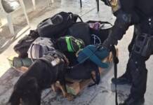 Córdoba: secuestraron cocaína, tussi, ketamina y otras drogas sintéticas en una fiesta electrónica