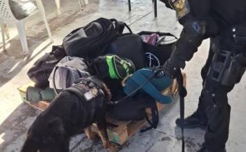 Córdoba: secuestraron cocaína, tussi, ketamina y otras drogas sintéticas en una fiesta electrónica