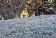 El frío no dio tregua: dónde se registraron las temperaturas más bajas en Carlos Paz y Punilla