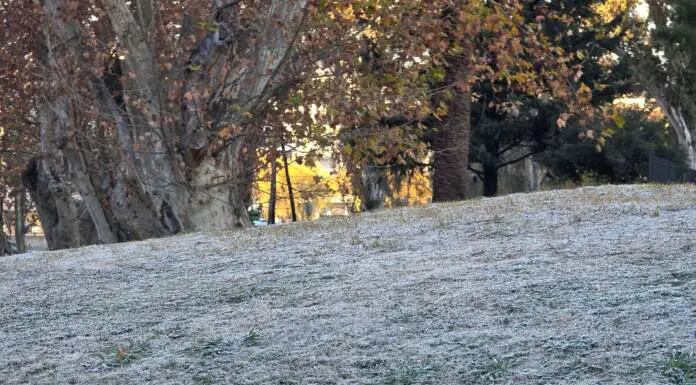 El frío no dio tregua: dónde se registraron las temperaturas más bajas en Carlos Paz y Punilla