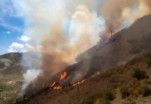 Incendio sin control: Continúa el trabajo contra el fuego en La Rioja