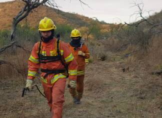Alertan que se aproximan días de alto riesgo de incendios por las condiciones climáticas
