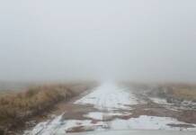 Blanco paisaje en las Altas Cumbres: ya llegó la nieve a Pampa de Achala