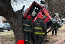 Rescatan a un hombre atrapado tras un violento choque de un camión contra un árbol