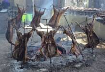 Éxito rotundo en Tanti: más de 11 mil personas disfrutaron del Cordero Serrano
