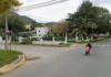 Carlos Paz: Intentó robarse un perro y terminó preso