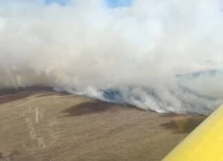 Contuvieron dos incendios forestales en distintos puntos de la provincia