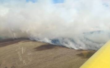 Contuvieron dos incendios forestales en distintos puntos de la provincia