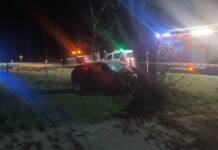Córdoba: Un automovilista perdió la vida tras chocar contra un árbol en la ruta E-56