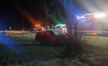 Córdoba: Un automovilista perdió la vida tras chocar contra un árbol en la ruta E-56
