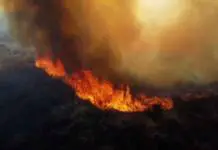 Un detenido acusado de provocar el incendio forestal en el norte de Punilla