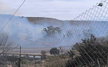 Villa Giardino: bomberos contuvieron un incendio forestal en El Portecelo