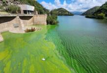 El estudio de la UNC reveló cuándo comenzó a deteriorarse el lago San Roque