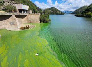 El estudio de la UNC reveló cuándo comenzó a deteriorarse el lago San Roque