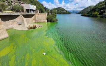 El estudio de la UNC reveló cuándo comenzó a deteriorarse el lago San Roque