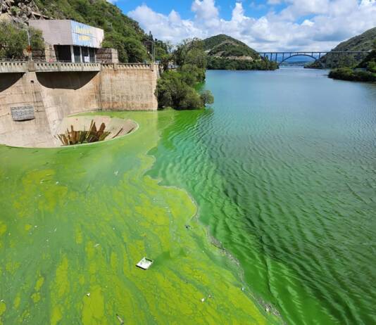 El estudio de la UNC reveló cuándo comenzó a deteriorarse el lago San Roque