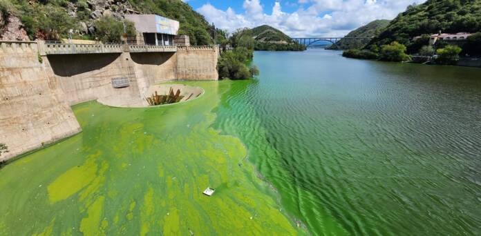 lago contaminado