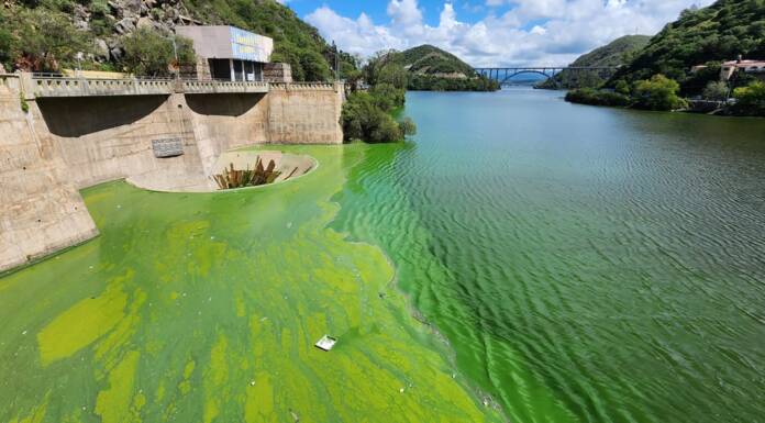 El estudio de la UNC reveló cuándo comenzó a deteriorarse el lago San Roque